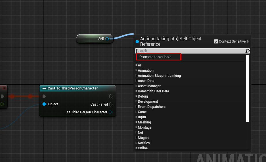 animation blueprint promote to variable self reference