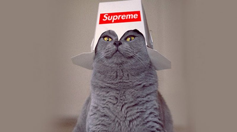 cat supreme